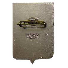 Значок Боровичи (вид 2)