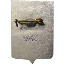 Значок Старая Руса (вид 2)