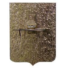 Значок Оргеев (вид 2)