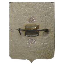 Значок Владимир (вид 2)