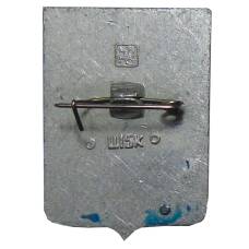 Значок Усмань (вид 2)