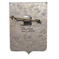 Значок Новосибирск (вид 2)