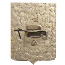 Значок Юрьев (вид 2)