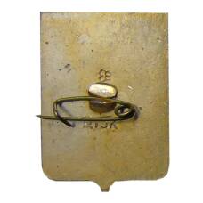 Значок Волгоград (вид 2)