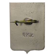 Значок Боровичи (вид 2)