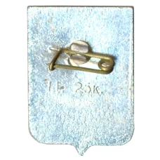 Значок Кострома (вид 2)