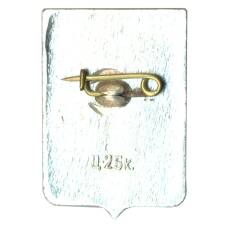 Значок Боровичи (вид 2)