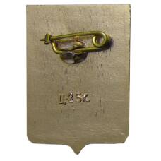 Значок Демянск (вид 2)