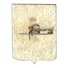 Значок Владимир (вид 2)