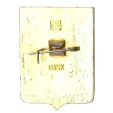 Значок Боровичи (вид 2)