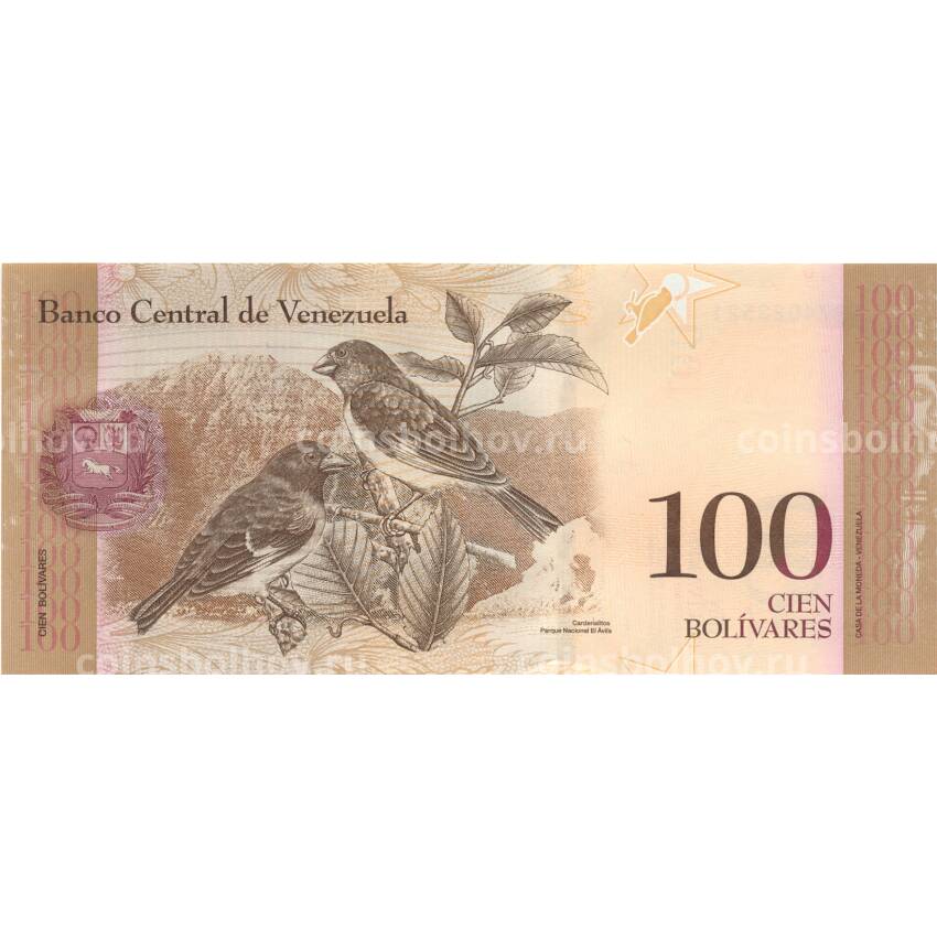 Банкнота 100 боливар 2013 года Венесуэла (вид 2)