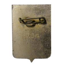 Значок Боровичи (вид 2)