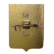 Значок Боровичи (вид 2)