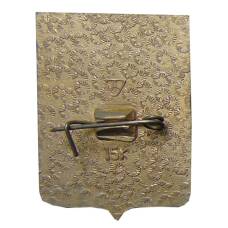 Значок Владимир (вид 2)