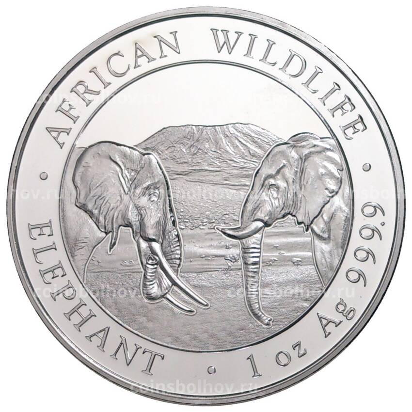 Монета 100 шиллингов 2020 года Сомали «Фауна Африки — Африканский слон»