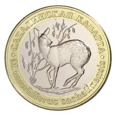 Монета Монетовидный жетон 5 червонцев 2019 года ММД Красная книга СССР — Сахалинская Кабарга (аверс)