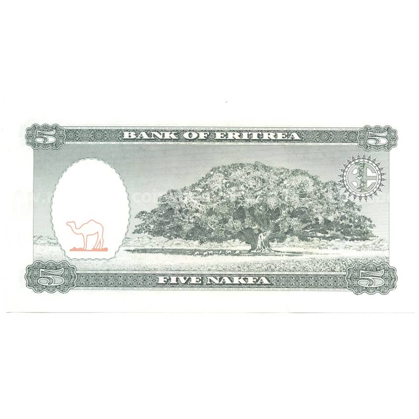 Банкнота 5 накфа 1997 года Эритрея (вид 2)