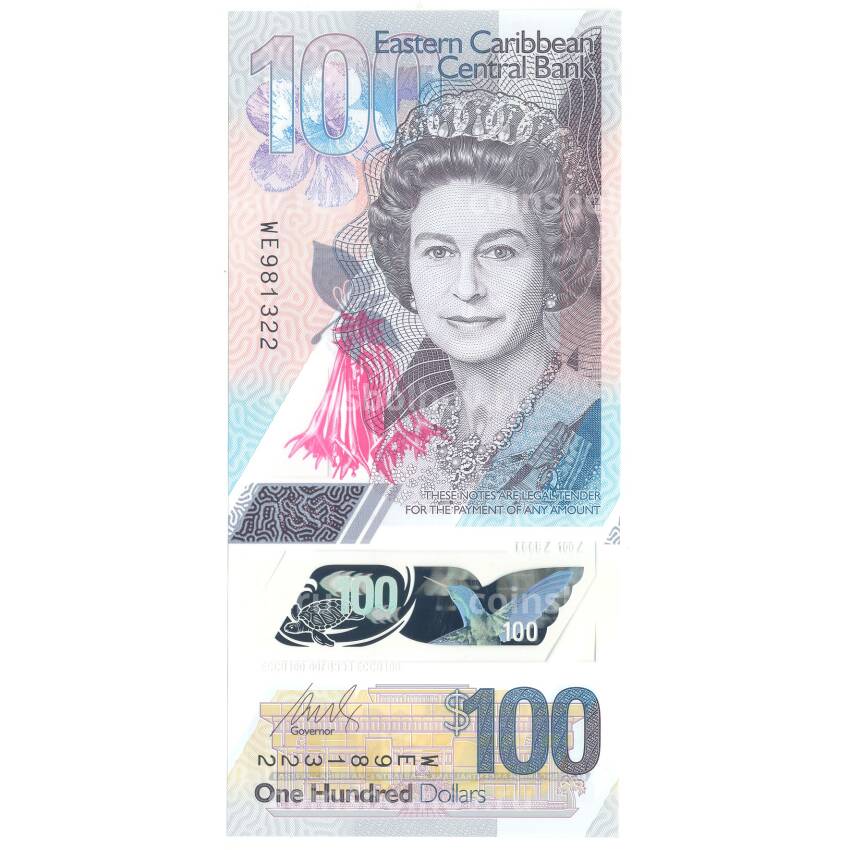 Банкнота 100 долларов 2019 года Восточные Карибы