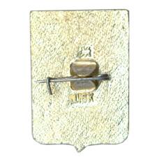 Значок Волгоград (вид 2)