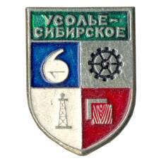 Значок Усолье-Сибирское