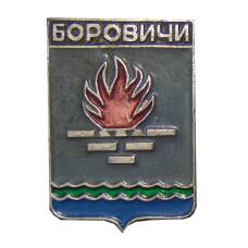 Значок Боровичи