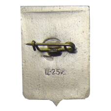 Значок Боровичи (вид 2)