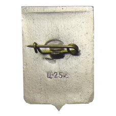 Значок Боровичи (вид 2)