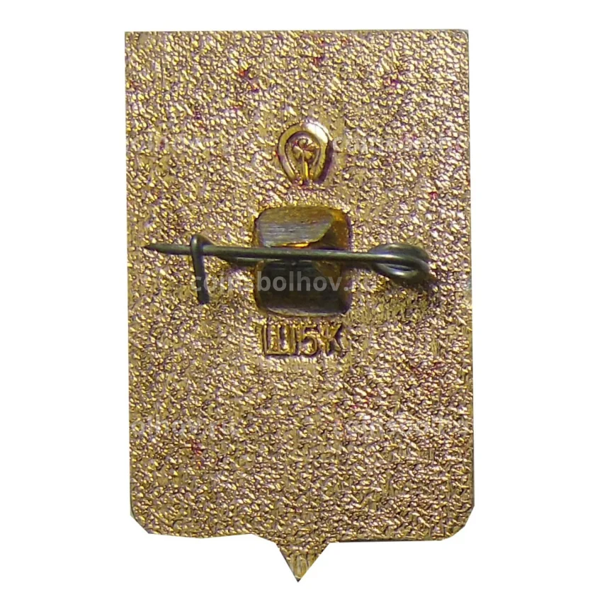 Значок Ростов на Дону (вид 2)