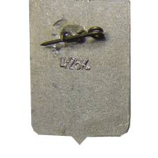 Значок Новгород (вид 2)