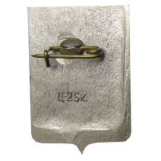 Значок Боровичи (вид 2)