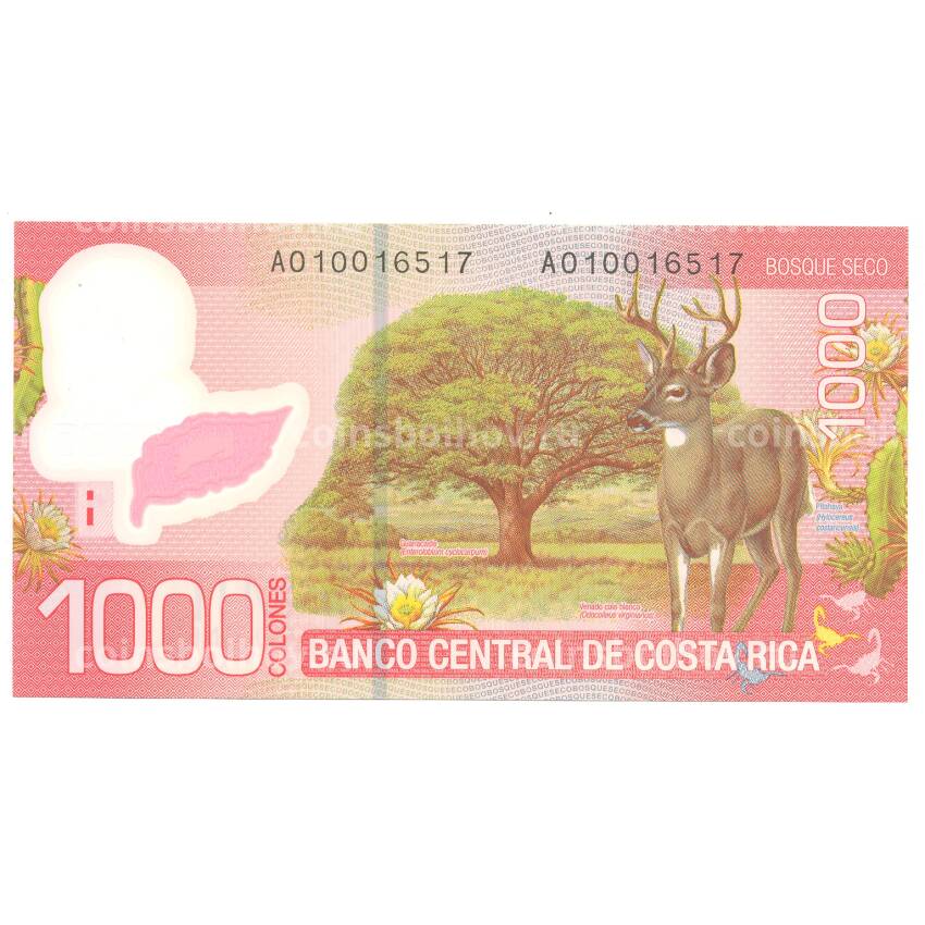 Банкнота 1000 колонов 2009 года Коста-Рика (вид 2)