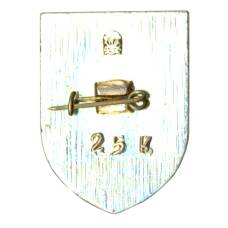 Значок Усолье-Сибирское (вид 2)