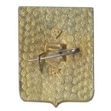 Значок Владимир (вид 2)