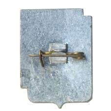 Значок Ростов на Дону (вид 2)