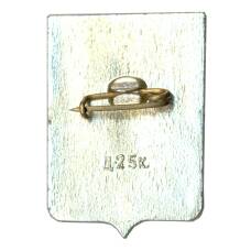 Значок Демянск (вид 2)