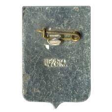 Значок Боровичи (вид 2)