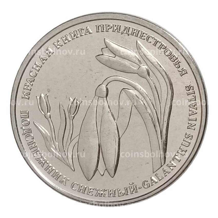 Монета 1 рубль 2020 года Приднестровье «Красная книга Приднестровья — Подснежник снежный»