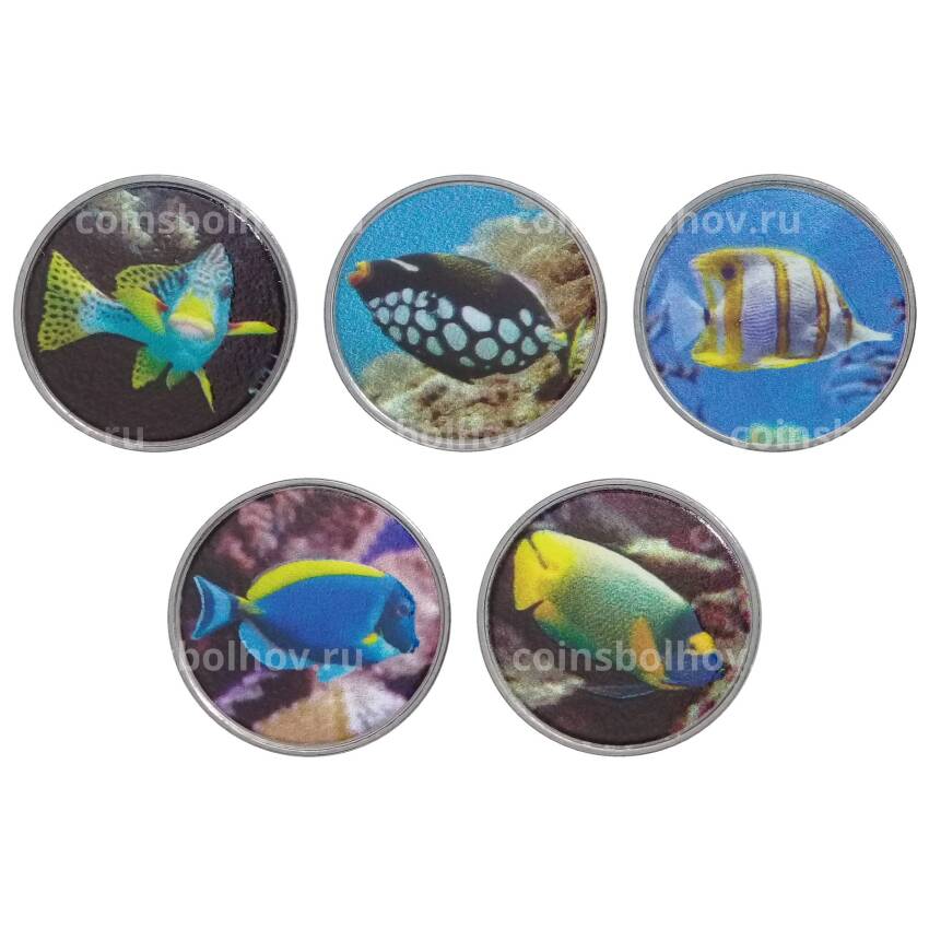 Набор монет 3 ринггита 2020 года Федеральная территория Лабуан (Малайзия) «Рыбы»