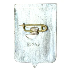 Значок Белозерск (вид 2)