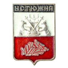 Значок Устюжна