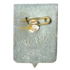 Значок Боровичи (вид 2)