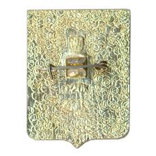 Значок Оргеев (вид 2)