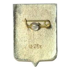 Значок Новгород (вид 2)