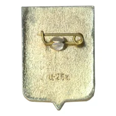 Значок Новгород (вид 2)