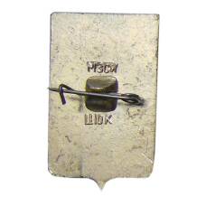 Значок  Копейск (вид 2)