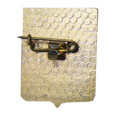 Значок Владимир (вид 2)