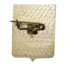 Значок Владимир (вид 2)