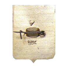 Значок Ковров (вид 2)