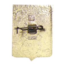 Значок Боровичи (вид 2)