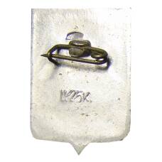 Значок Новгород (вид 2)